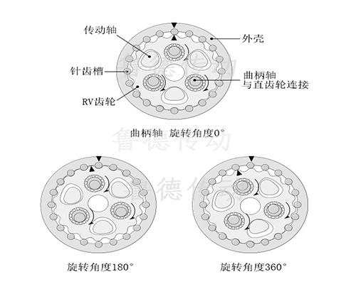 RV减速机2级减速机